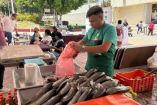 Feria del Mar en Iztacalco.