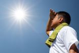 Enfermedades causadas por el calor
