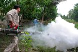 Fumigan contra el dengue