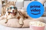 Prime Video lanza especial para calmar a los perros por los fuegos artificiales