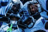 Los Panthers consiguieron el título de la NFC Sur