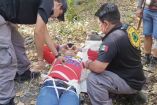 Rescatistas de Protección Civil atienden a un peregrino tendido en el suelo luego de ser atacado por un enjambre de abejas africanizadas durante una caminata de entrenamiento religioso en una zona rural de Comala, Colima.