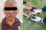 UEIDCA y la Procuraduría de Hidalgo investigan grave caso de maltrato animal en Colinas de Plata.