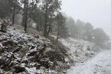 El municipio de Galeana, Nuevo León, cubierto por nieve