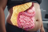 La grasa intestinal hace que las personas se inflamen y tengan obesidad.