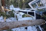 Lugar del accidente aéreo en Wasatch County, Utah, con equipos de emergencia.