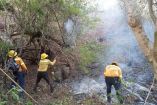 incendio forestal