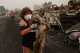 Viviendas completamente destruidas en Penco y Lirquén tras los incendios forestales del sur de Chile.