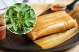 Receta de tamal de chipilín