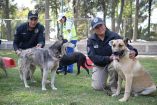 60 veterinarios se encargan del cuidado de los perros, quienes trabajan en diferentes turnos para garantizar la atención las 24 horas