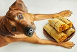 ¿Dónde comprar tamales para perro en CDMX?