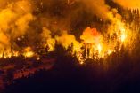 Más de 45 mil hectáreas quemadas en Chubut por incendios forestales.