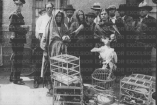 Fotografía histórica en blanco y negro de un grupo de personas reunidas frente a un edificio, junto a jaulas con aves aseguradas como evidencias, relacionada con la investigación del multihomicidio de Peralvillo ocurrido en 1929 en la Ciudad de México.