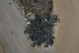 Imagen aérea de un tiradero irregular de llantas usadas y basura en el cauce del río Tijuana, evidenciando la contaminación ambiental que se concentra en la zona y es arrastrada por escurrimientos hacia la frontera y la costa.