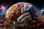 Ese sabor seco y amargo podría activar tu cerebro, estudio