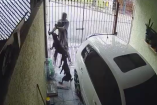 Captura de cámara de seguridad en una cochera donde un hombre intenta abrir un portón metálico mientras dos perros saltan y ladran para impedir el ingreso; a un costado se observa un automóvil blanco estacionado.