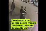 Gracias a la presencia de una cámara de videovigilancia en la zona, el acto de crueldad cometido por el masculino, fue captado y posteriormente difundido en redes sociales.
