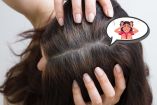 ¿Qué pasa cuando se arrancan las canas del cabello?