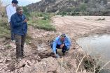 La Semarnat inició muestreos de suelo y sedimentos en comunidades del Río Sonora para identificar sitios contaminados con metales pesados.