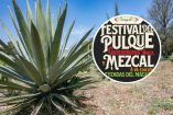 Festival del Pulque, Gastronomía Típica y Mezcal, marzo 2026 en CDMX