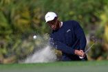 Tiger Woods es uno de los jugadores de golf más importantes en la historia.