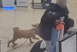 Autoridades de Las Vegas detuvieron a una mujer que dejó a su perro atado en un mostrador del aeropuerto tras no completar la documentación de viaje.