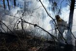 Del total de incendios forestales, cuatro se localizan en áreas naturales protegidas, en el corredor biológico "Paisaje Natural de la Mariposa Monarca".