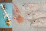 Tips para quitarle las espinas al pescado