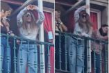 Shakibecca salió de un edificio para saludar a los fans de Shakira