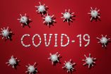 La pandemia de COVID-19 dejó 7 millones de muertes confirmadas.