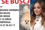 Sherlyn pide ayuda a través de Instagram para encontrar a su perrita Lovy