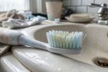 Estas son las bacterias que pueden vivir en nuestro cepillo de dientes