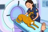 Un perro está siendo atendido en un hospital veterinario