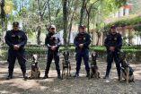 Estos binomios caninos fortalecen la capacidad operativa y de respuesta de esta corporación ante diversas situaciones