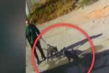 Ante los ladridos, el agresor —un hombre que paseaba a sus propios perros— reaccionó con furia.
