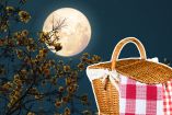 Picnic nocturno en Bosque de Chapultepec, CDMX: fechas