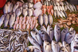 Pescados