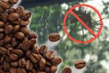 ¿Más mosquitos por la lluvia? El truco del café quemado que ayuda a ahuyentar a estos insectos