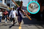 Perritos en viacrucis