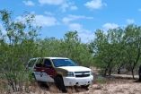 Vehículo de la Guardia Estatal en un predio con vegetación en Reynosa Tamaulipas durante diligencias por hallazgo de restos humanos