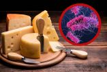 Un brote de infecciones está vinculado a queso cheddar sin pasteurizar.
