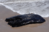 Hallan otro fragmento de chapopote en Playa Bagdad, autoridades niegan afectaciones a Tortuga Lora