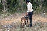 El último avistamiento del hombre desaparecido se registró en los ayuntamientos de Montemorelos, Hualahuises y Linares, por lo que se intensificaron los trabajos en esa área.
