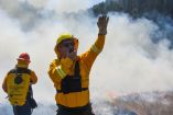 Conafor reportó 38 incendios forestales activos en 14 estados, incluyendo áreas naturales protegidas.