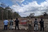Operativos ambientales en 41 Áreas Naturales Protegidas derivaron en clausuras y decomisos de madera y fauna.