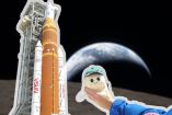 ¿"Rise", la mascota de Artemis ll también regreso a salvo del viaje a la Luna?