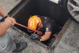 Un elemento con conocimientos en rescate en agua se encargó de poner a salvo a la mujer e ingresó a la alcantarilla amarrado a una línea de vida para poder realizar la operación.