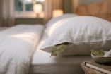 Truco de la hoja de laurel bajo la almohada: para qué sirve