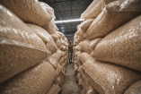 Descartan industriales incremento en el precio de la tortilla