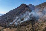incendio forestal